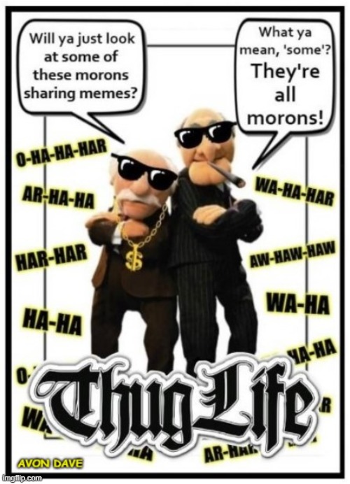 SHRUG LIFE | image tagged in muppets,waldorf and statler,kermit,thug life,gangsta,funny | made w/ Imgflip meme maker