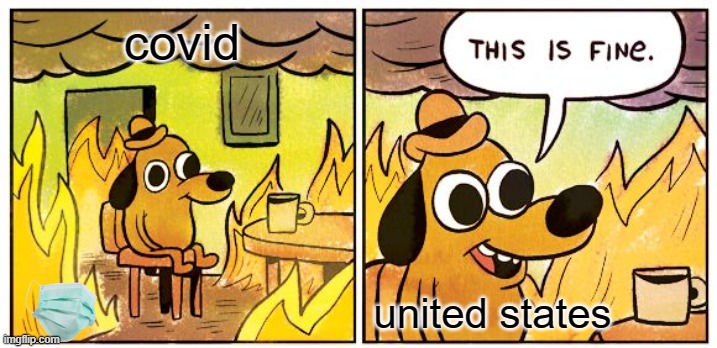 This Is Fine Meme | covid; united states | image tagged in memes,this is fine | made w/ Imgflip meme maker