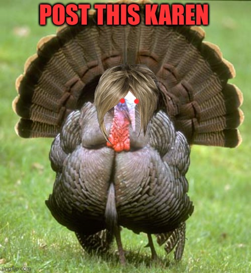 Worst meme of the day! | POST THIS KAREN | image tagged in memes,turkey,karens,but why why would you do that | made w/ Imgflip meme maker