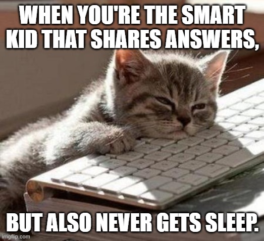 tired cat | WHEN YOU'RE THE SMART KID THAT SHARES ANSWERS, BUT ALSO NEVER GETS SLEEP. | image tagged in tired cat | made w/ Imgflip meme maker