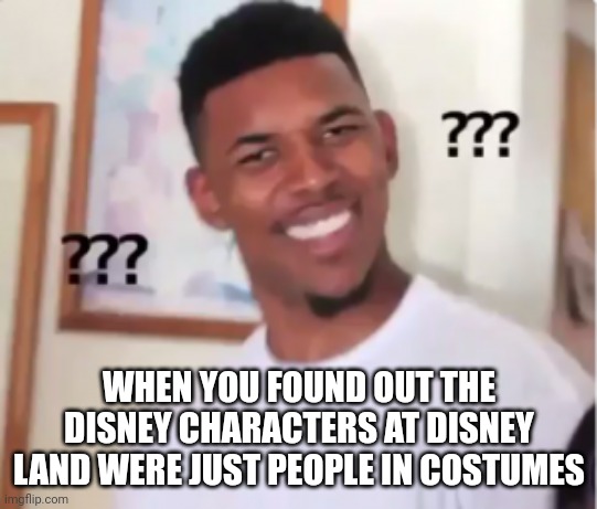 WHEN YOU FOUND OUT THE DISNEY CHARACTERS AT DISNEY LAND WERE JUST PEOPLE IN COSTUMES | image tagged in confused nick young | made w/ Imgflip meme maker