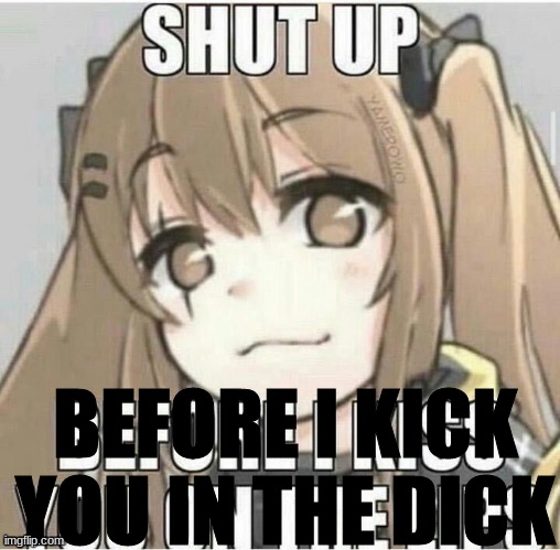 and if you don't have a dick feel free to keep talking | BEFORE I KICK YOU IN THE DICK | made w/ Imgflip meme maker