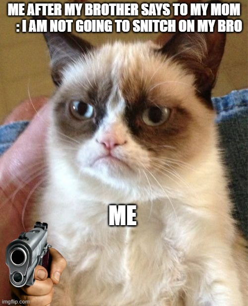 why ?? | ME AFTER MY BROTHER SAYS TO MY MOM     : I AM NOT GOING TO SNITCH ON MY BRO; ME | image tagged in memes,grumpy cat | made w/ Imgflip meme maker