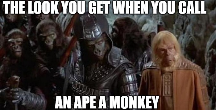 Stand up! | THE LOOK YOU GET WHEN YOU CALL; AN APE A MONKEY | image tagged in ursus and zaius,planet of the apes | made w/ Imgflip meme maker