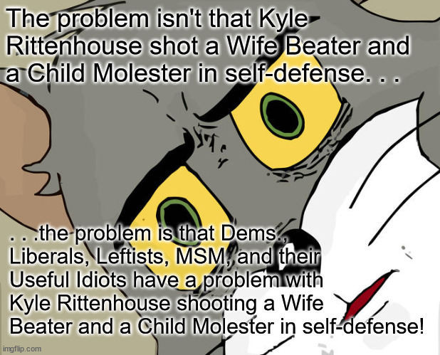 Unsettled Tom |  The problem isn't that Kyle Rittenhouse shot a Wife Beater and a Child Molester in self-defense. . . . . .the problem is that Dems., Liberals, Leftists, MSM, and their Useful Idiots have a problem with Kyle Rittenhouse shooting a Wife Beater and a Child Molester in self-defense! | image tagged in memes,unsettled tom | made w/ Imgflip meme maker