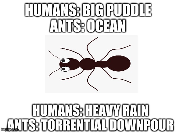 Humans vs. ants | HUMANS: BIG PUDDLE
ANTS: OCEAN; HUMANS: HEAVY RAIN
ANTS: TORRENTIAL DOWNPOUR | image tagged in blank white template,ants,vs,humans | made w/ Imgflip meme maker