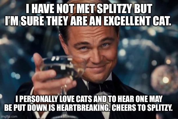 Leonardo Dicaprio Cheers Meme | I HAVE NOT MET SPLITZY BUT I’M SURE THEY ARE AN EXCELLENT CAT. I PERSONALLY LOVE CATS AND TO HEAR ONE MAY BE PUT DOWN IS HEARTBREAKING. CHEE | image tagged in memes,leonardo dicaprio cheers | made w/ Imgflip meme maker