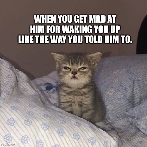 WHEN YOU GET MAD AT HIM FOR WAKING YOU UP LIKE THE WAY YOU TOLD HIM TO. | image tagged in relationship | made w/ Imgflip meme maker