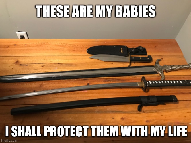 Another sword meme | THESE ARE MY BABIES; I SHALL PROTECT THEM WITH MY LIFE | image tagged in more,swords | made w/ Imgflip meme maker