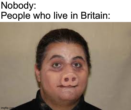 These snotty nosed pigs are assholes and they shouldn't exist. Not political btw | Nobody:
People who live in Britain: | image tagged in britain sucks,go,fuck,yourself,britain | made w/ Imgflip meme maker