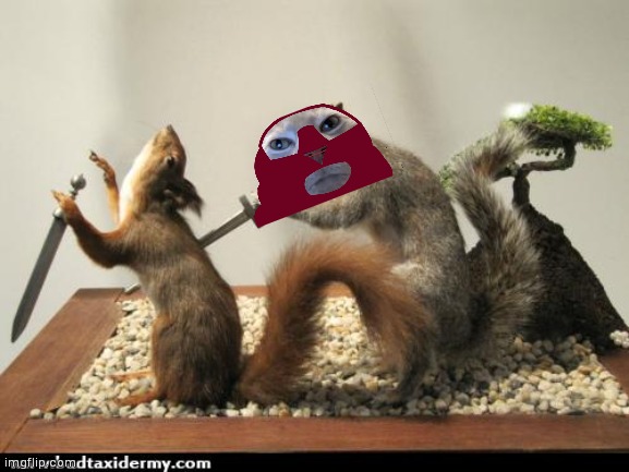 taxidermy squirrel backstab | image tagged in taxidermy squirrel backstab | made w/ Imgflip meme maker