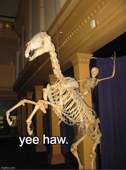 yee haw | yee haw. | image tagged in memes,unfunny | made w/ Imgflip meme maker