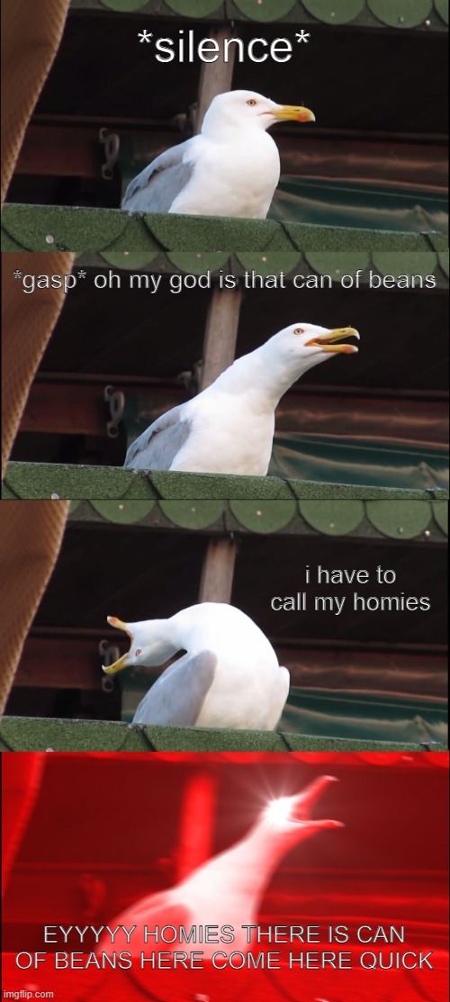 EYYYYY |  *silence*; *gasp* oh my god is that can of beans; i have to call my homies; EYYYYY HOMIES THERE IS CAN OF BEANS HERE COME HERE QUICK | image tagged in memes,inhaling seagull,homies,beans,screaming seagull | made w/ Imgflip meme maker