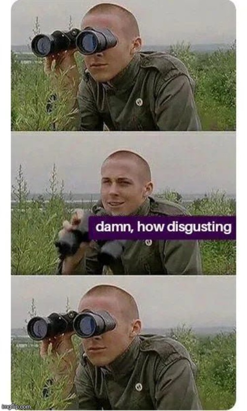 Damn, how disgusting | image tagged in damn how disgusting | made w/ Imgflip meme maker