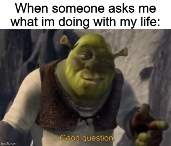 Shrek good question |  When someone asks me what im doing with my life: | image tagged in memes,funny | made w/ Imgflip meme maker