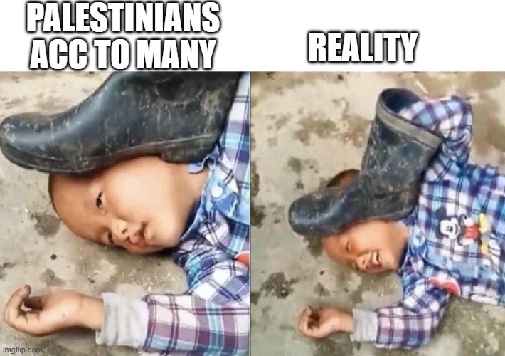 Pressing a Boot on Your Own Head | PALESTINIANS ACC TO MANY; REALITY | image tagged in pressing a boot on your own head | made w/ Imgflip meme maker