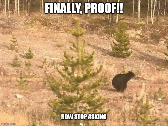Well, how about that?!?!? | FINALLY, PROOF!! NOW STOP ASKING | image tagged in bear,question,memes,funny | made w/ Imgflip meme maker