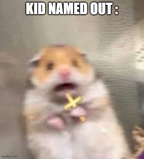 Screaming Hamster | KID NAMED OUT : | image tagged in screaming hamster | made w/ Imgflip meme maker