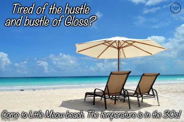 And the water is cool and nice | Tired of the hustle and bustle of Gloss? Come to Little Meow beach. The temperature is in the 30s! | image tagged in beach | made w/ Imgflip meme maker