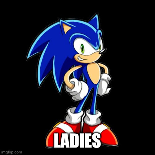 You're Too Slow Sonic Meme | LADIES | image tagged in memes,you're too slow sonic | made w/ Imgflip meme maker