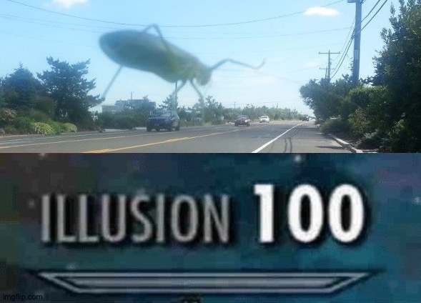 Giant cricket | image tagged in illusion 100,memes,funny,funny memes,wtf,illusion | made w/ Imgflip meme maker