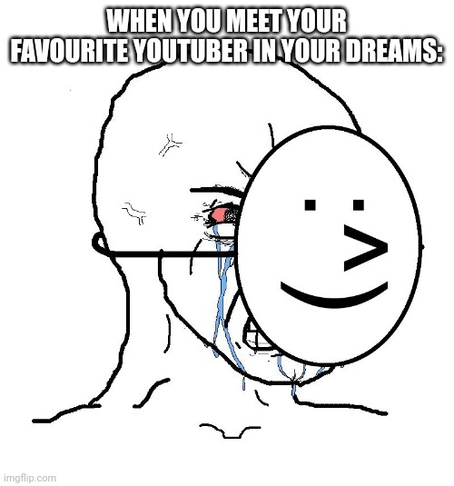 Pretending To Be Happy, Hiding Crying Behind A Mask | WHEN YOU MEET YOUR FAVOURITE YOUTUBER IN YOUR DREAMS: | image tagged in pretending to be happy hiding crying behind a mask | made w/ Imgflip meme maker