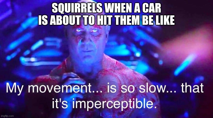 yeah |  SQUIRRELS WHEN A CAR IS ABOUT TO HIT THEM BE LIKE | image tagged in drax | made w/ Imgflip meme maker