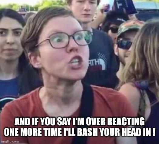 Angry Liberal | AND IF YOU SAY I'M OVER REACTING ONE MORE TIME I'LL BASH YOUR HEAD IN ! | image tagged in angry liberal | made w/ Imgflip meme maker
