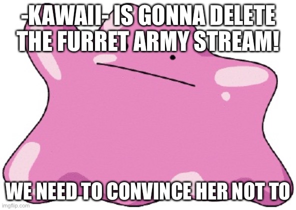 -KAWAII- IS GONNA DELETE THE FURRET ARMY STREAM! WE NEED TO CONVINCE HER NOT TO | image tagged in ditto ditto ditto ditto ditto ditto ditto ditto ditto | made w/ Imgflip meme maker