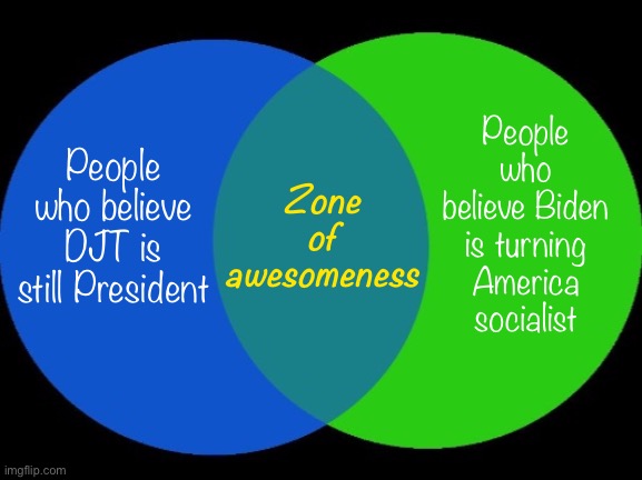 Roll safe and think about it, QAnoners… | People who believe Biden is turning America socialist; Zone of awesomeness; People who believe DJT is still President | image tagged in things,that,make,you,go,hmmm | made w/ Imgflip meme maker