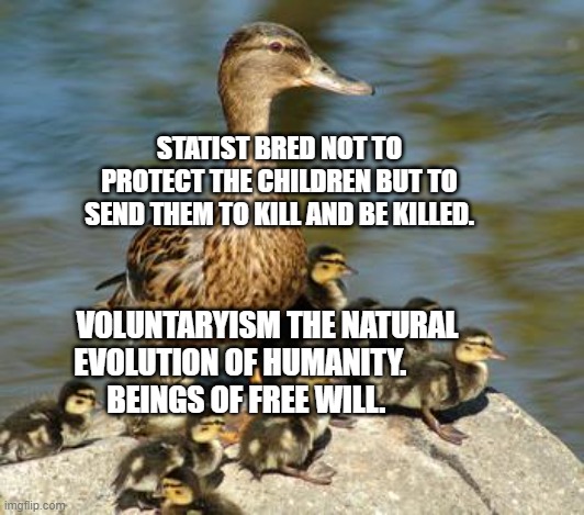 Mother duck | STATIST BRED NOT TO PROTECT THE CHILDREN BUT TO SEND THEM TO KILL AND BE KILLED. VOLUNTARYISM THE NATURAL EVOLUTION OF HUMANITY.         
      BEINGS OF FREE WILL. | image tagged in mother duck | made w/ Imgflip meme maker