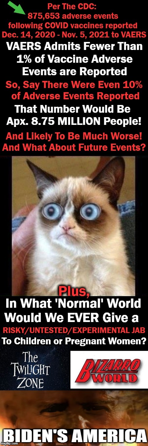 Even Grumpy Cat "Gets It".... | image tagged in politics,covid jab,adverse events,experimental,risky,leftist push | made w/ Imgflip meme maker