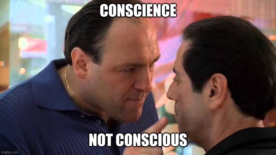 CONSCIENCE NOT CONSCIOUS | image tagged in tony soprano and richie apriel | made w/ Imgflip meme maker