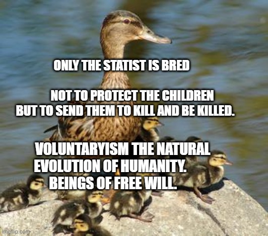 Mother duck | ONLY THE STATIST IS BRED                                            NOT TO PROTECT THE CHILDREN BUT TO SEND THEM TO KILL AND BE KILLED. VOLUNTARYISM THE NATURAL EVOLUTION OF HUMANITY.         
      BEINGS OF FREE WILL. | image tagged in mother duck | made w/ Imgflip meme maker