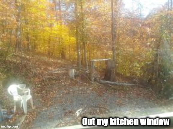 The color's are peaking in east Tennessee |  Out my kitchen window | image tagged in autumn,autumn leaves,fall time,fall colors | made w/ Imgflip meme maker