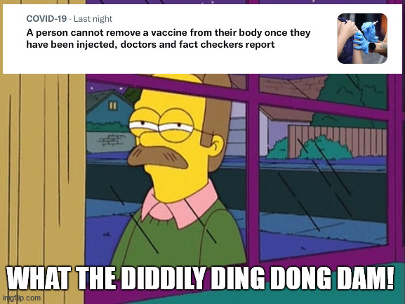 Not even prayer can help them! | WHAT THE DIDDILY DING DONG DAM! | image tagged in ned flanders,covid19,vaccine,covid,covid vaccine | made w/ Imgflip meme maker