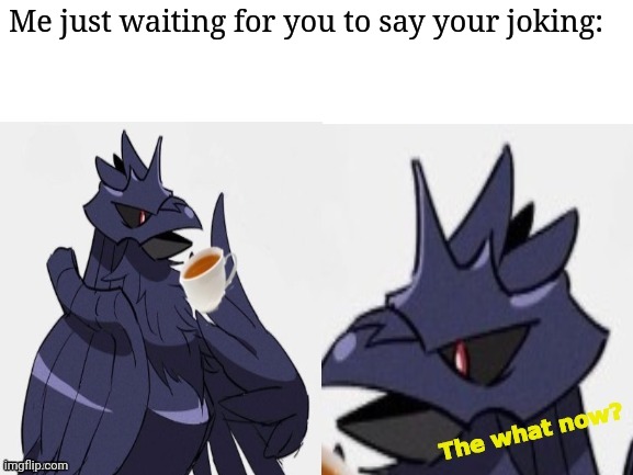 Confused Corviknight | Me just waiting for you to say your joking: | image tagged in confused corviknight | made w/ Imgflip meme maker