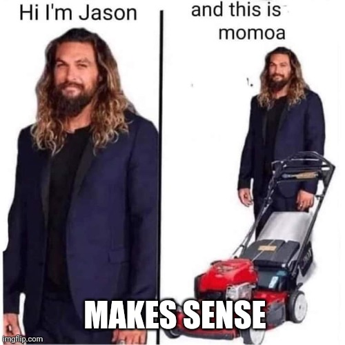 MAKES SENSE | image tagged in jason momoa,lawnmower,dad joke | made w/ Imgflip meme maker