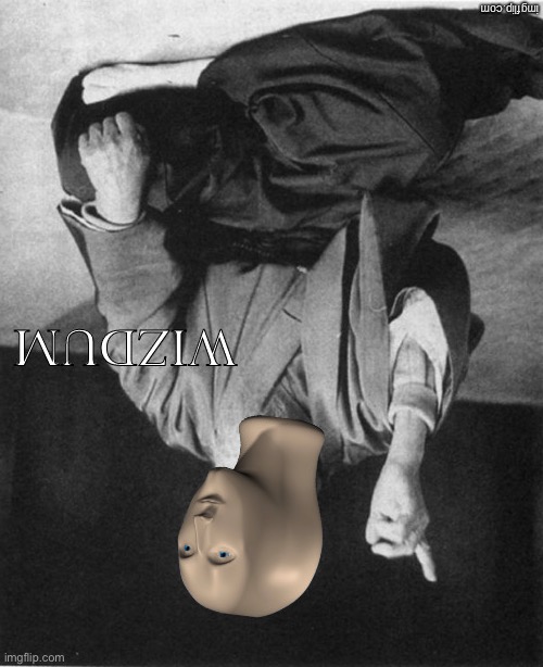 Wizdum | image tagged in wizdum | made w/ Imgflip meme maker