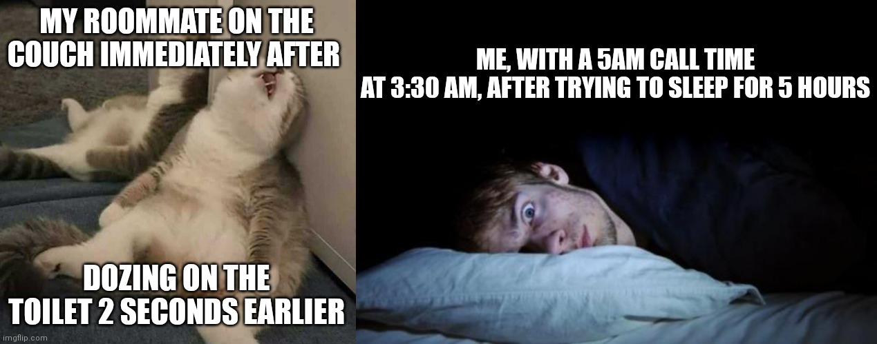 ME, WITH A 5AM CALL TIME
AT 3:30 AM, AFTER TRYING TO SLEEP FOR 5 HOURS; MY ROOMMATE ON THE COUCH IMMEDIATELY AFTER; DOZING ON THE TOILET 2 SECONDS EARLIER | image tagged in deep sleep cat,insomnia | made w/ Imgflip meme maker