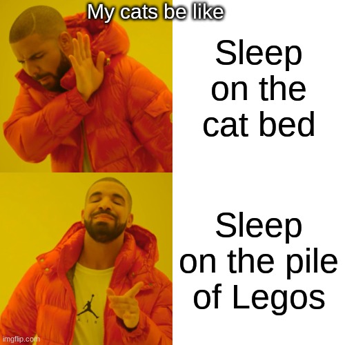 Dunno why they do this | My cats be like; Sleep on the cat bed; Sleep on the pile of Legos | image tagged in memes,drake hotline bling | made w/ Imgflip meme maker