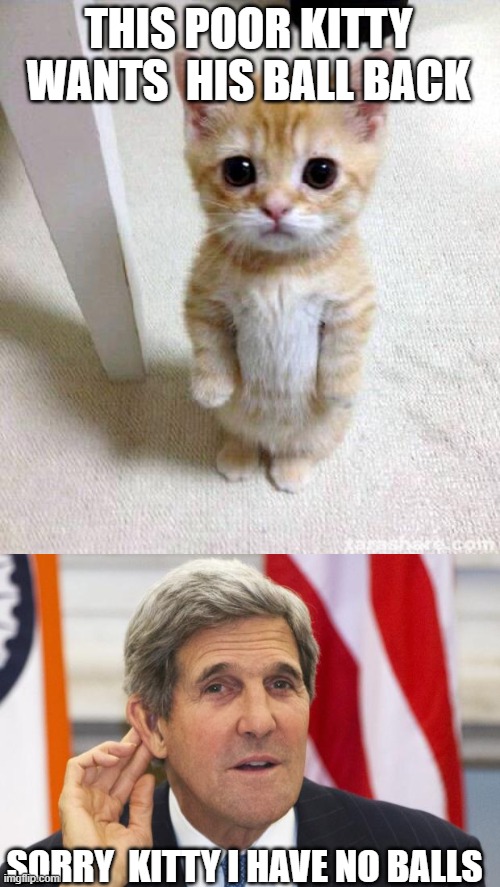 CLIMATE CHANGE AND WE FOOT THE BILL FOR CHINA AND INDIA... | THIS POOR KITTY WANTS  HIS BALL BACK; SORRY  KITTY I HAVE NO BALLS | image tagged in memes,cute cat,john kerry what | made w/ Imgflip meme maker