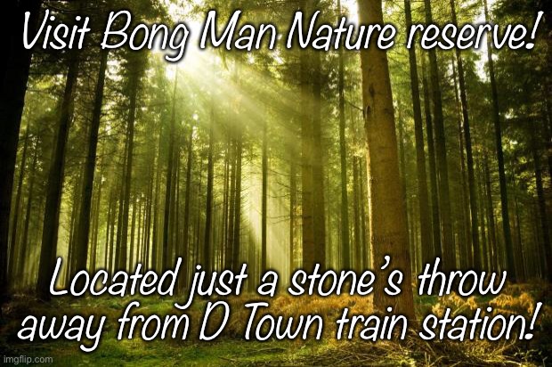 The nature reserve is one of many. Come visit D Town today, with Army Rail! | Visit Bong Man Nature reserve! Located just a stone’s throw away from D Town train station! | image tagged in sunlit forest | made w/ Imgflip meme maker