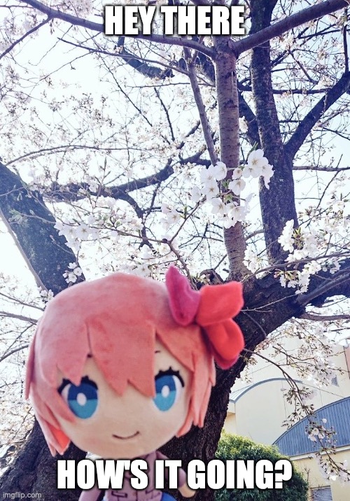 yo wassup | HEY THERE; HOW'S IT GOING? | image tagged in sayori | made w/ Imgflip meme maker