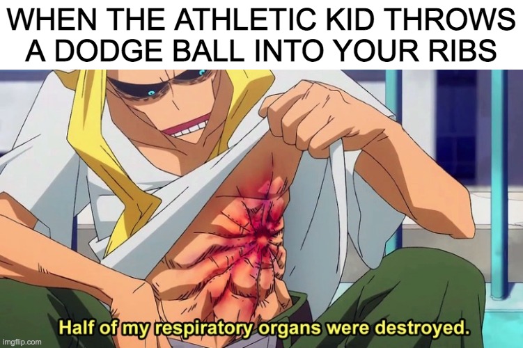 Ouch mY rIbS | WHEN THE ATHLETIC KID THROWS A DODGE BALL INTO YOUR RIBS | image tagged in half of my respiratory organs were destroyed | made w/ Imgflip meme maker