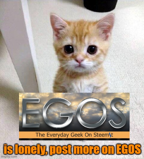 EGOS stream needs more love. SO LOVE IT ALREADY! | is lonely, post more on EGOS | image tagged in memes,cute cat,egos,stream,humor | made w/ Imgflip meme maker
