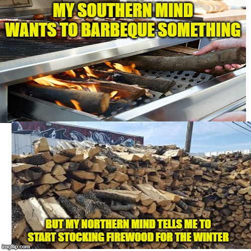 MY SOUTHERN MIND WANTS TO BARBEQUE SOMETHING BUT MY NORTHERN MIND TELLS ME TO START STOCKING FIREWOOD FOR THE WINTER | made w/ Imgflip meme maker