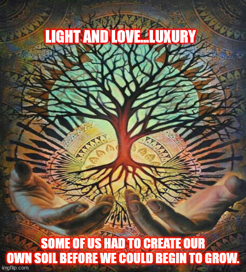 JD69 | LIGHT AND LOVE...LUXURY; SOME OF US HAD TO CREATE OUR OWN SOIL BEFORE WE COULD BEGIN TO GROW. | image tagged in philosophy | made w/ Imgflip meme maker