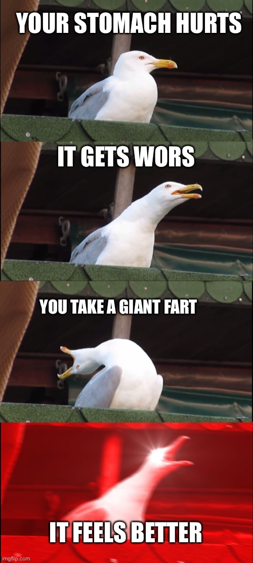 Inhaling Seagull Meme | YOUR STOMACH HURTS; IT GETS WORS; YOU TAKE A GIANT FART; IT FEELS BETTER | image tagged in memes,inhaling seagull | made w/ Imgflip meme maker