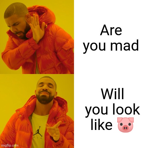 Funny ? | Are you mad; Will you look like 🐷 | image tagged in memes,drake hotline bling,funny memes | made w/ Imgflip meme maker